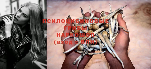 jwh Гатчина
