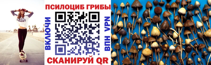 Псилоцибиновые грибы Cubensis  Купить где  Змеиногорск 